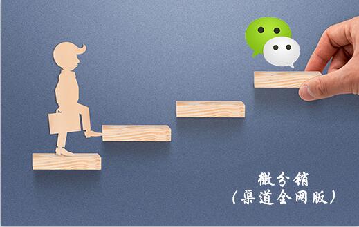 ΢ȫ棩